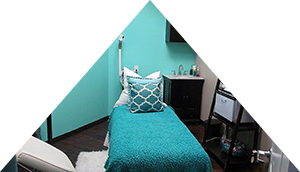 Triangle_Teal
